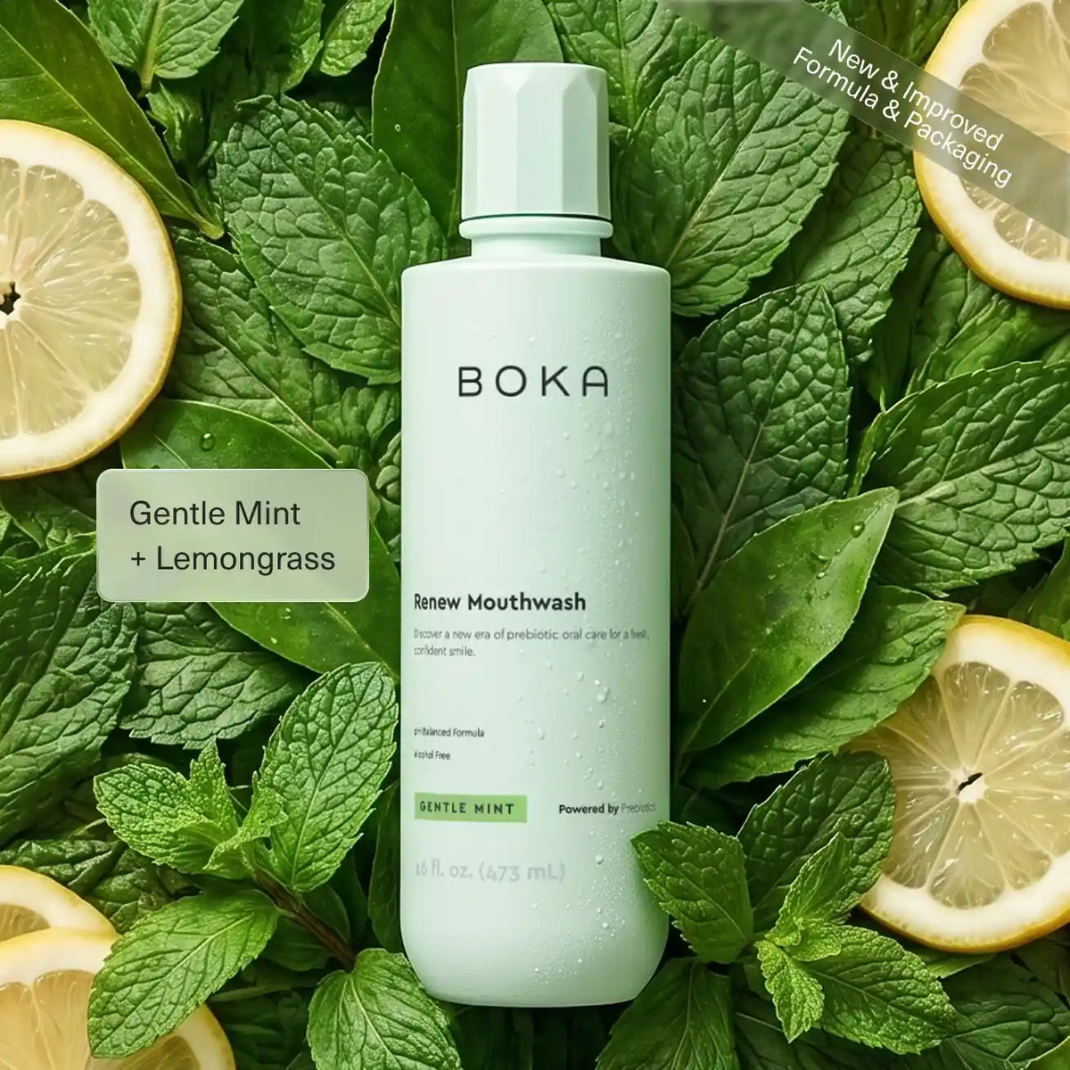 Renew Prebiotic Liquid Mouthwash